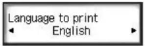 CANON Maxify MB2120 - Print registration information from the printer - 3