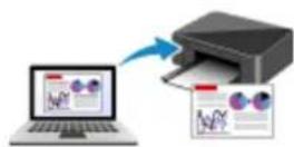 CANON Maxify MB2120 - Printing - 1