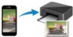 CANON Maxify MB2120 - Printing - 2