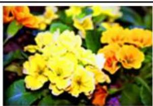 CANON Maxify MB2120 - Saturation - 4