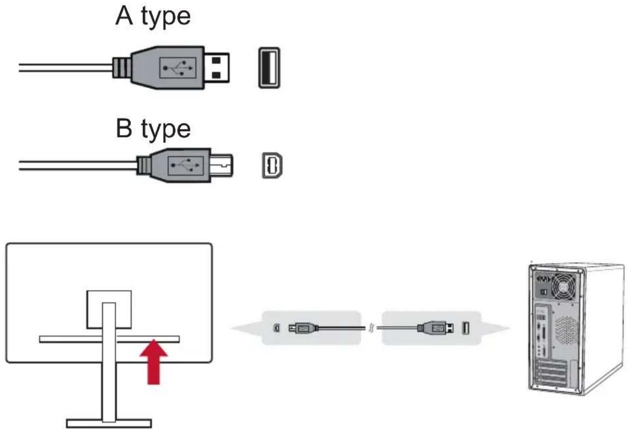 A type B type