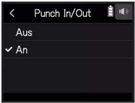 Punch In/Out Aus ✓ An