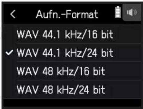 ZOOM H8 - Tippen Sie auf ein Format. - 1