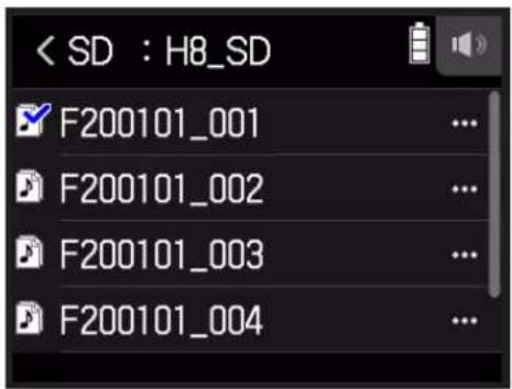 ZOOM H8 - Screen für die Projekt-Funktionen - 1