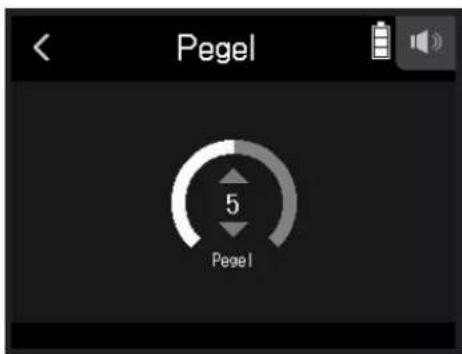 Pegel 5 Pegel