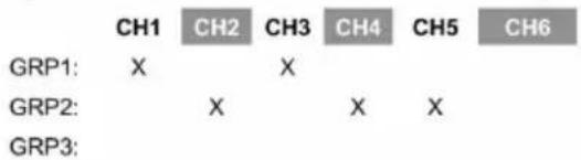 CH1 CH2 CH3 CH4 CH5 CH6 GRP1: X X GRP2: X X X GRP3: