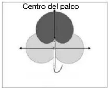 Centro del palco