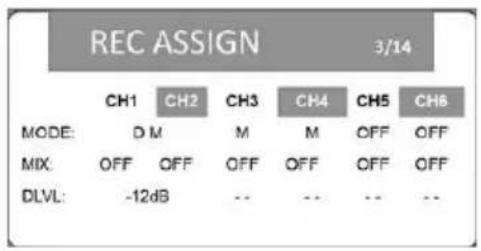 REC ASSIGN 3/14 MODE: DM M M OFF OFF MIX: OFF OFF OFF OFF OFF DLVL: -12dB -- -- -- --