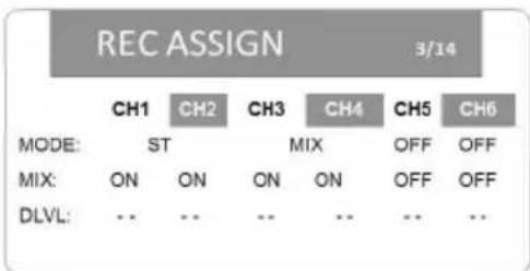 REC ASSIGN 3/14 MODE: CH1 CH2 CH3 CH4 CH5 CH6 ST MIX OFF OFF ON ON ON ON OFF OFF DLVL: .. .. .. .. .. ..