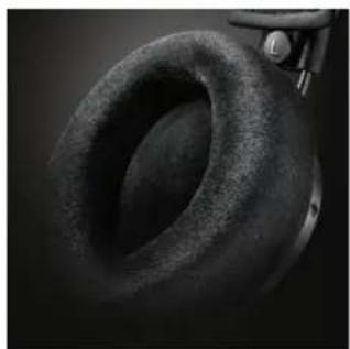 PHILIPS Fidelio X2 - Doppelschichtige Ohrmuscheln - 2