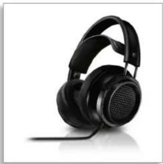 PHILIPS Fidelio X2 - 1