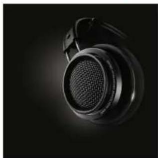 PHILIPS Fidelio X2 - 3,5 mm-auf-6,3 mm-Adapter - 2