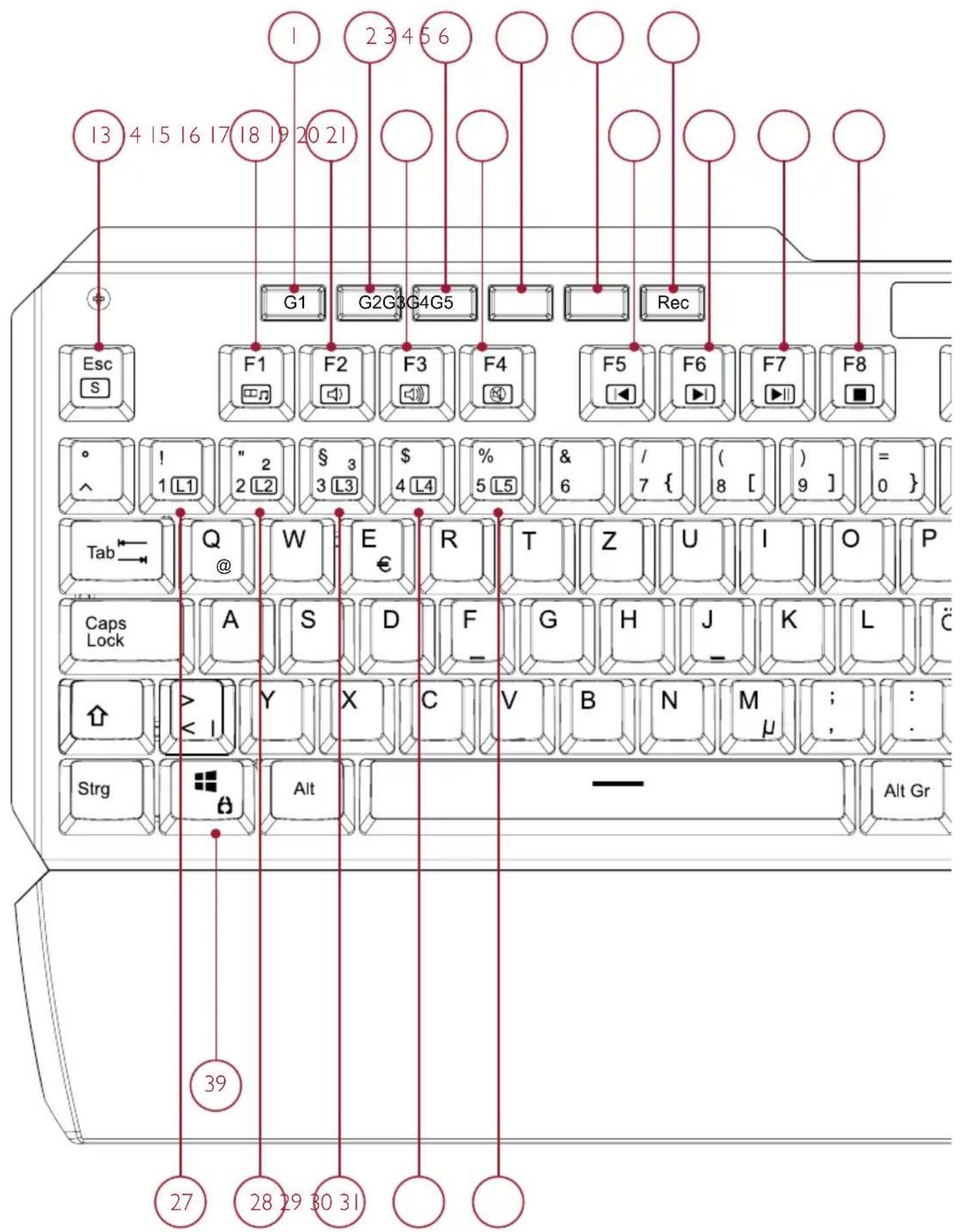 Lioncast LK300 RGB - TASTATURBESCHREIBUNG - 1
