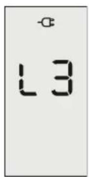 L3