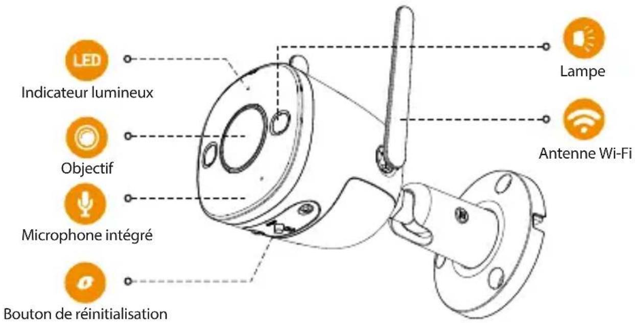 LED Indicateur lumineux Objectif Microphone intégré Bouton de réinitialisation Lampe Antenne Wi-Fi
