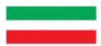 DNP DP-QW410 - Fehleranzeige - 10