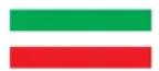 DNP DP-QW410 - Fehleranzeige - 8