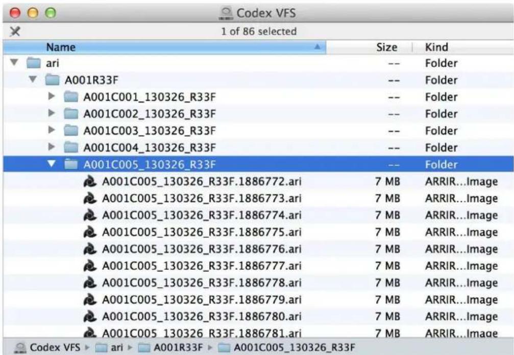 ARRI ALEXA SXT Plus - File Structure for ARRIRAW Recording (Codex VFS) - 1