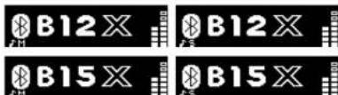 B12X B12X B15X B15X