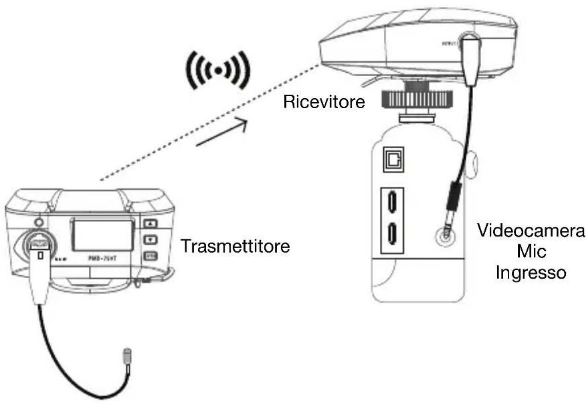 Trasmettitore Ricevitore Videocamera Mic Ingresso
