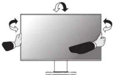NEC MultiSync E221N-BK - Neigen und Schwenken - 1