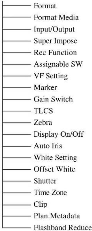 Format Format Media Input/Output Super Impose Rec Function Assignable SW VF Setting Marker Gain Switch TLCS Zebra Display On/Off Auto Iris White Setting Offset White Shutter Time Zone Clip Plan.Metadata Flashband Reduce