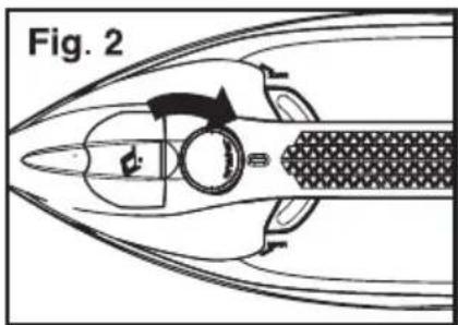 Fig. 2