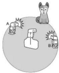 A B