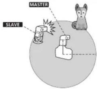 MASTER SLAVE