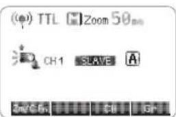(●) TTL Zoom 50min CH1 SURVE A 3m/6.6% BG*