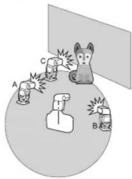 Diagram showing a cat reacting to three labeled objects (A, B, C) with visible spray effects, likely illustrating a safety or safety concept.