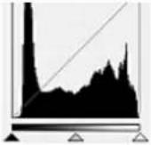 CANON PIXMA G3200 - Reading Histograms - 3