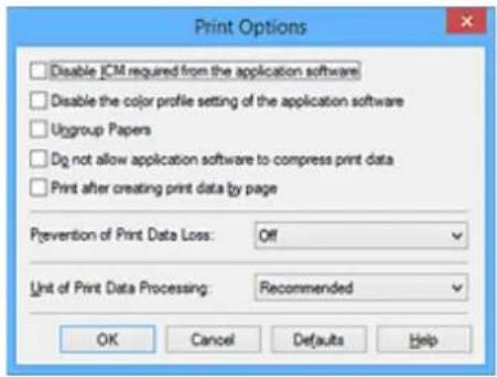 CANON PIXMA G3200 - Changing the Print Options - 2