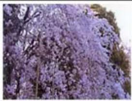 CANON PIXMA G3200 - Color Adjustment - 1
