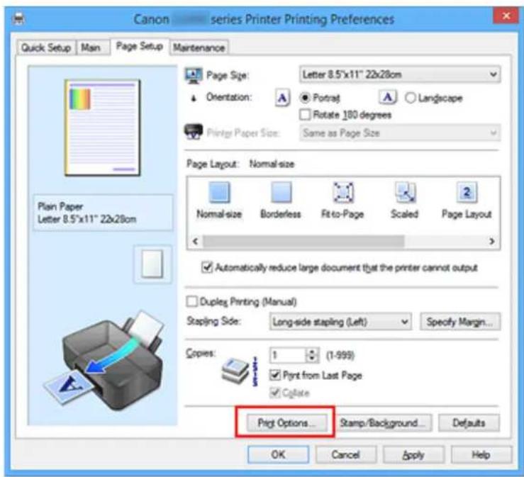 CANON PIXMA G3200 - Changing the Print Options - 1