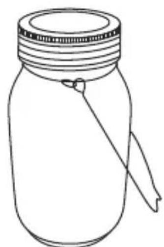 MELINERA IAN 291041 - 2