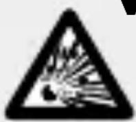 MELINERA IAN 275905 - LEBENSGE- - 1