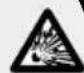 MELINERA IAN 276363 - VORSICHT! EXPLOSIONSGE- - 1