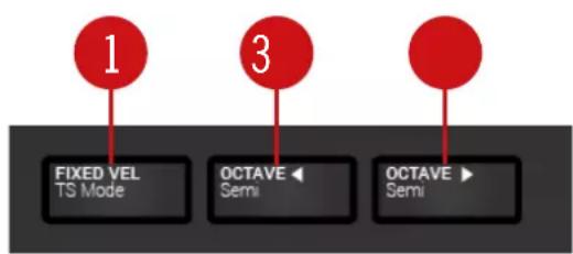 NATIVE INSTRUMENTS Komplete Kontrol A25 - Transpose and Fixed Velocity Buttons - 1