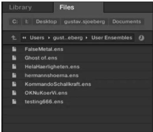 Library Files C: I: Desktop gustav.sjoeberg Documents << Users > gust..eberg User Ensembles FalseMetal.ens Ghost of.ens HelaHaerligheten.ens hermannshoerna.ens KommandoSchallkraft.ens OKNuKoerVi.ens testing666.ens