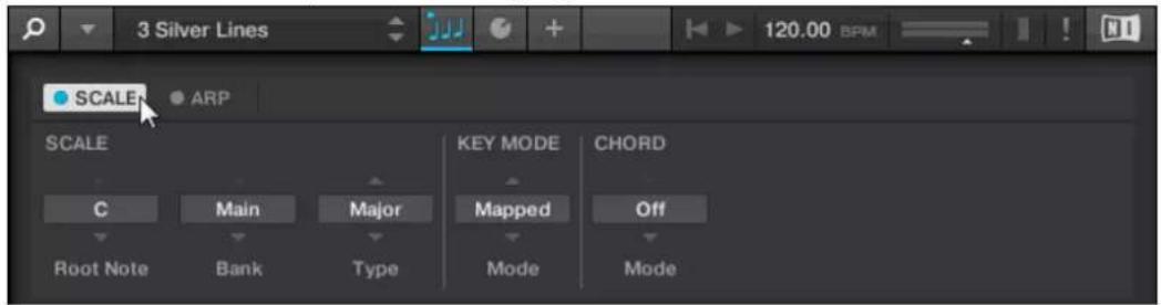 3 Silver Lines 120.00 BPM SCALE ARP SCALE KEY MODE CHORD C Main Major Mapped Off Root Note Bank Type Mode Mode