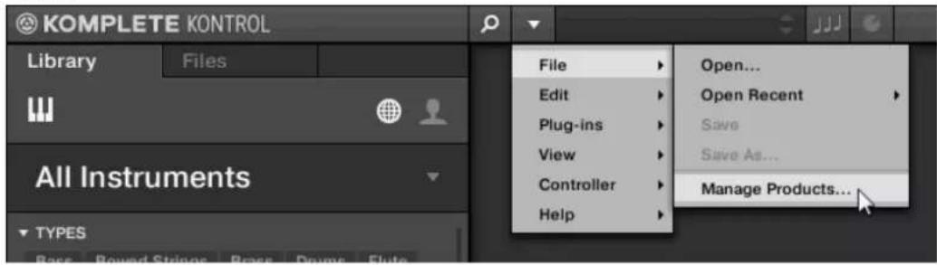KOMPLETE KONTROL Library Files All Instruments TYPES File Open... Edit Open Recent Plug-ins Save View Save As... Controller Manage Products...