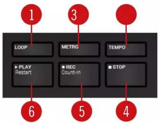 NATIVE INSTRUMENTS Komplete Kontrol A25 - Transport Section - 1