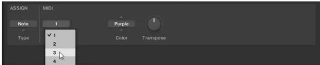 ASSIGN MIDI Note 1 Type ✓ 1 2 3 4 Purple Color Transpose