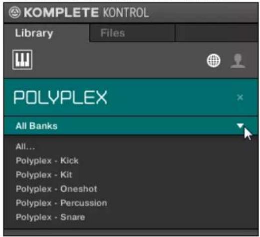 KOMPLETE KONTROL Library Files POLYPLEX All Banks All... Polyplex - Kick Polyplex - Kit Polyplex - Oneshot Polyplex - Percussion Polyplex - Snare
