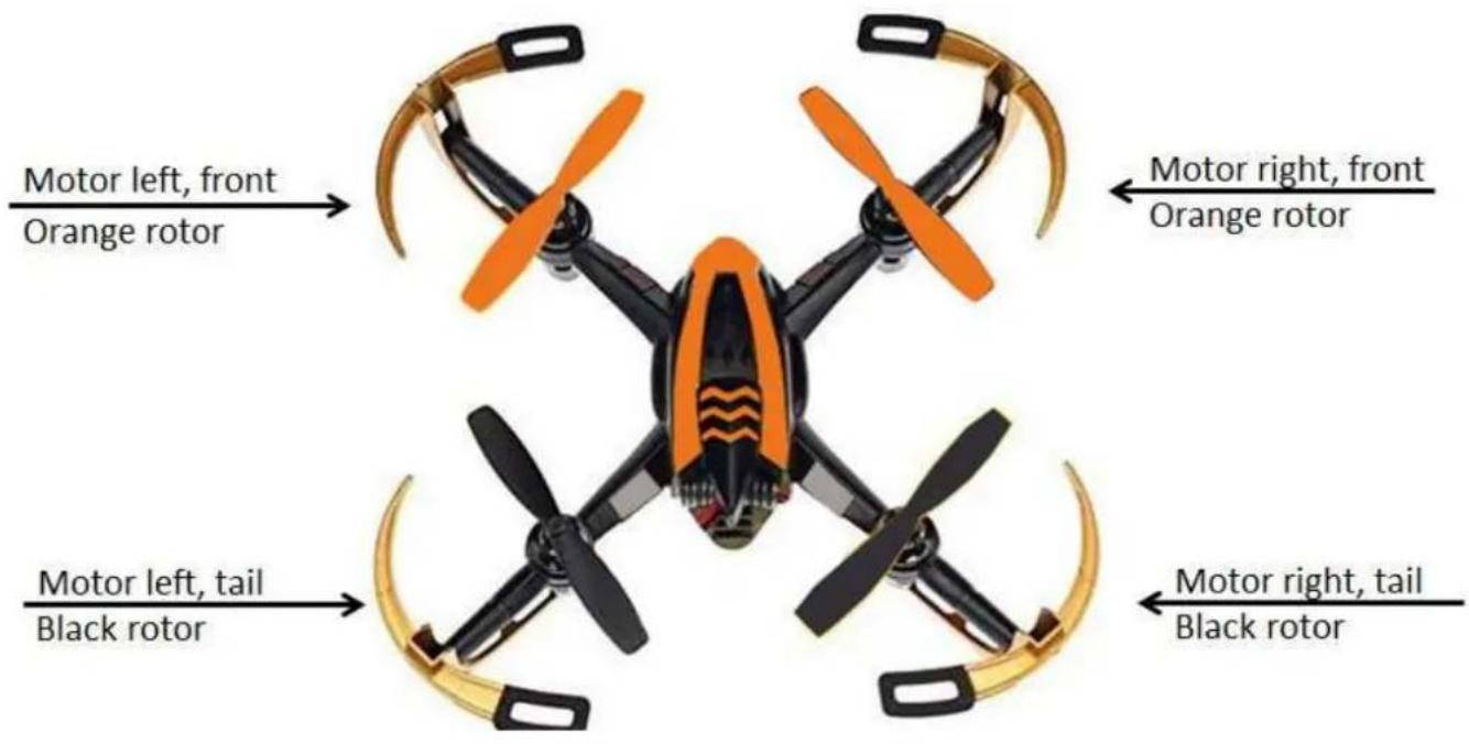 SNAKEBYTE Zoopa Q155 roonin - Structure - 1