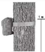 Moultrie M-4000i - Tipps: - 2