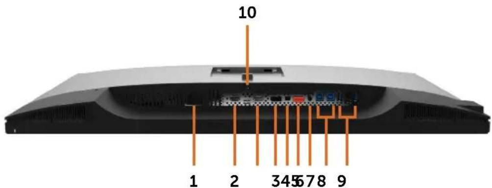 DELL UP3017 - Bottom View - 1