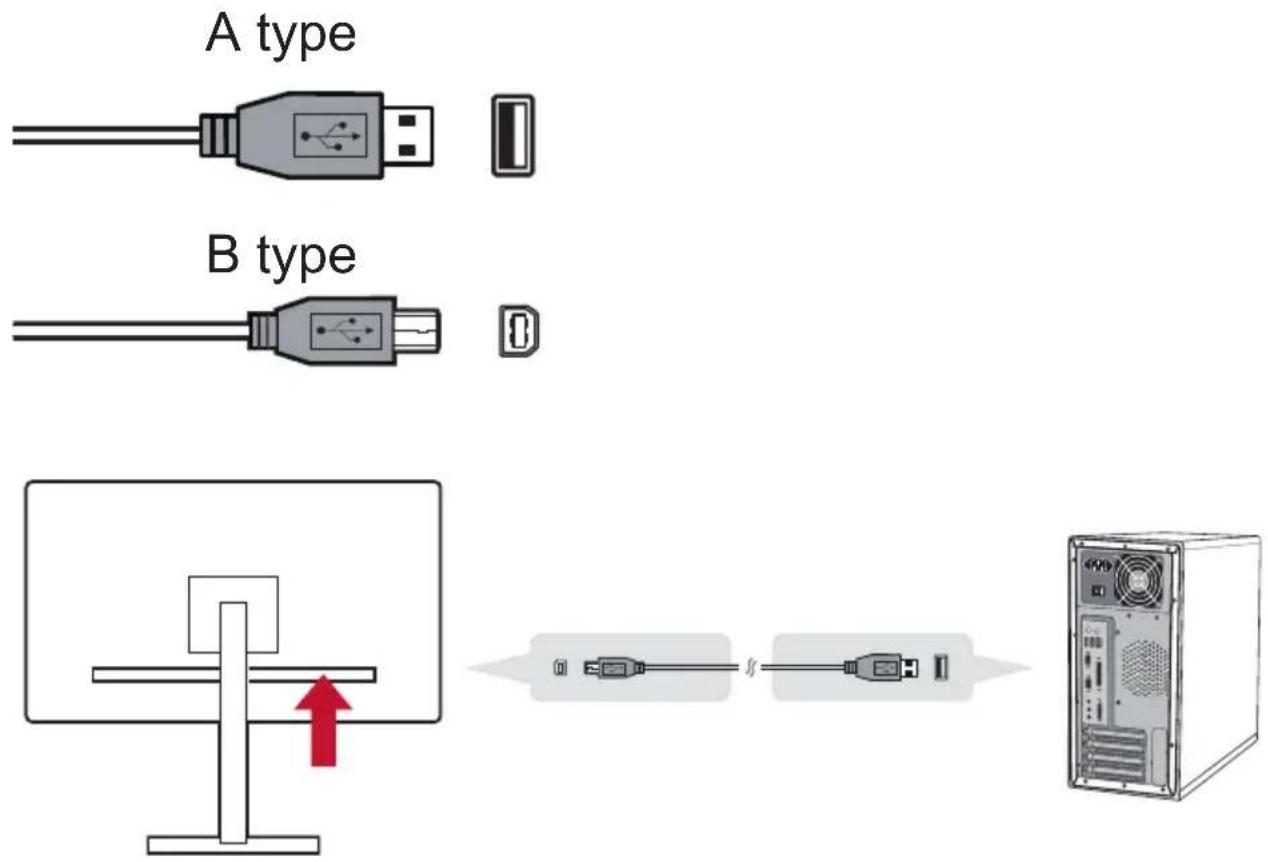 A type B type