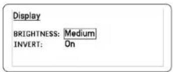 Display BRIGHTNESS: Medium INVERT: On